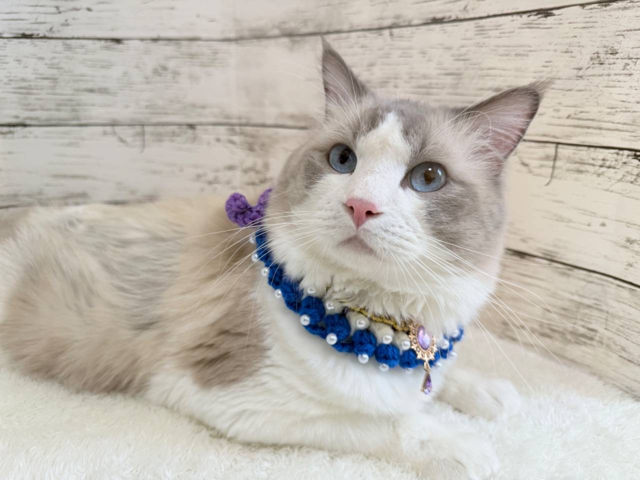 【パパ】マージュ