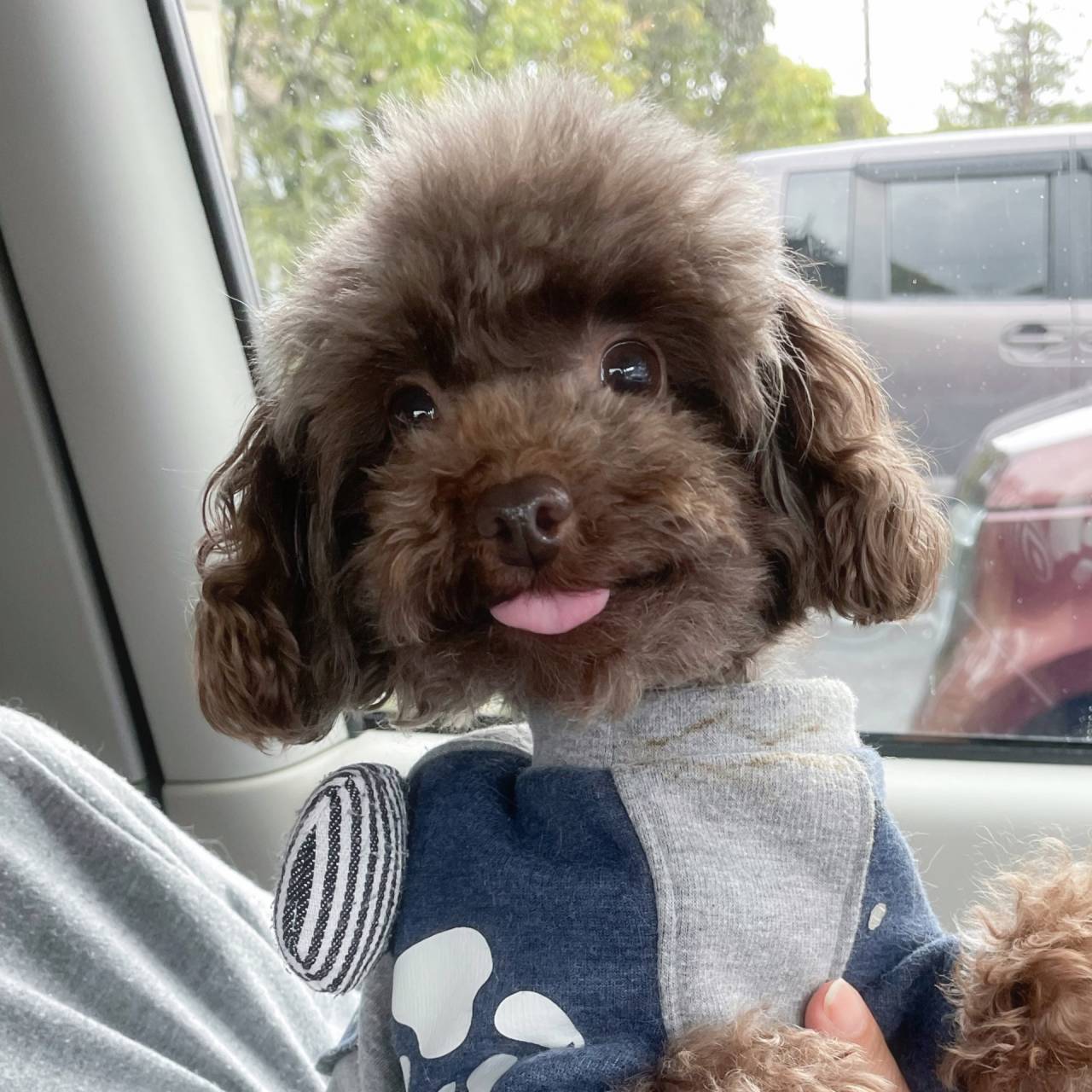 【パパ】なごむ