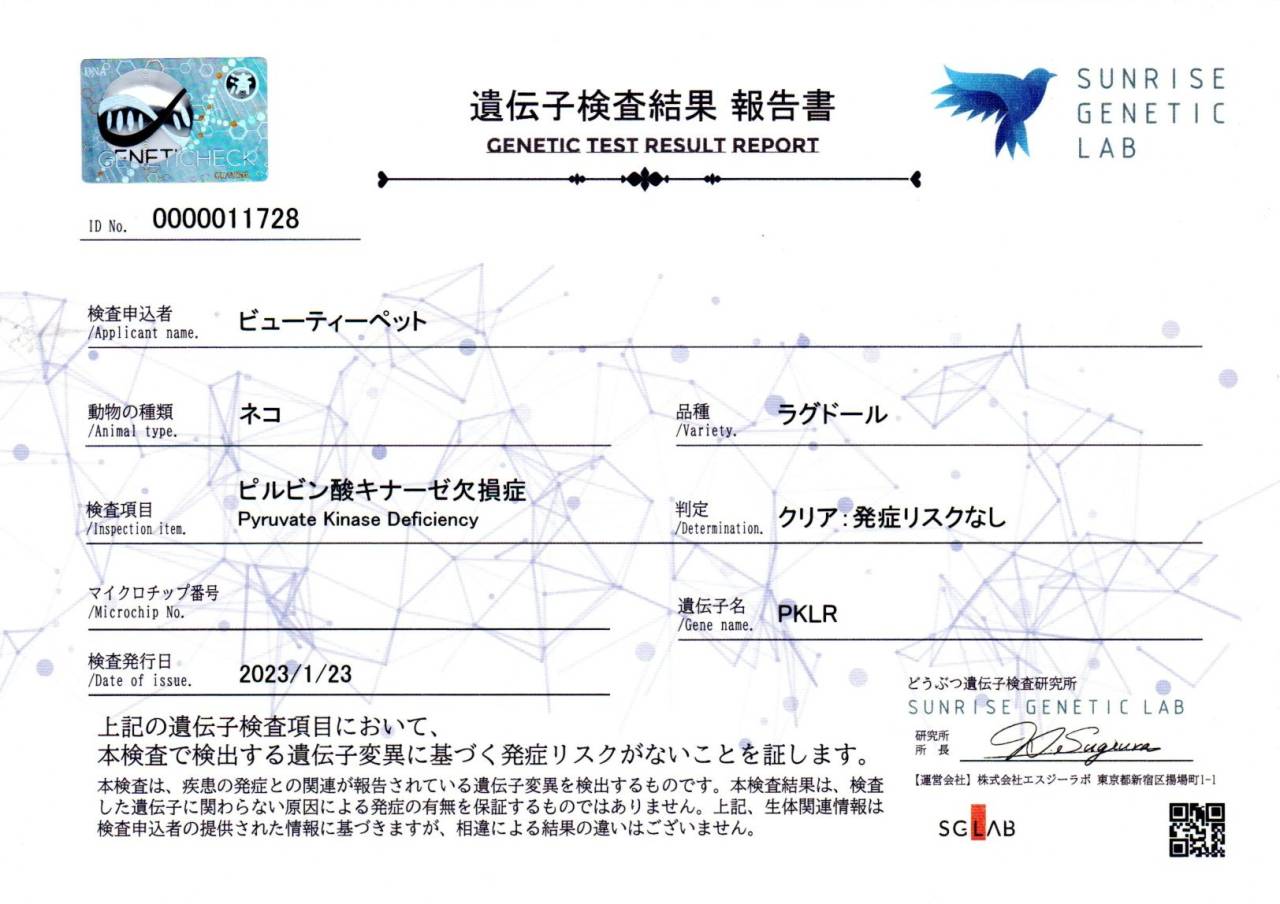 タフィー