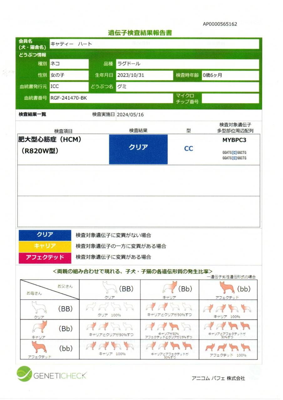 グミ