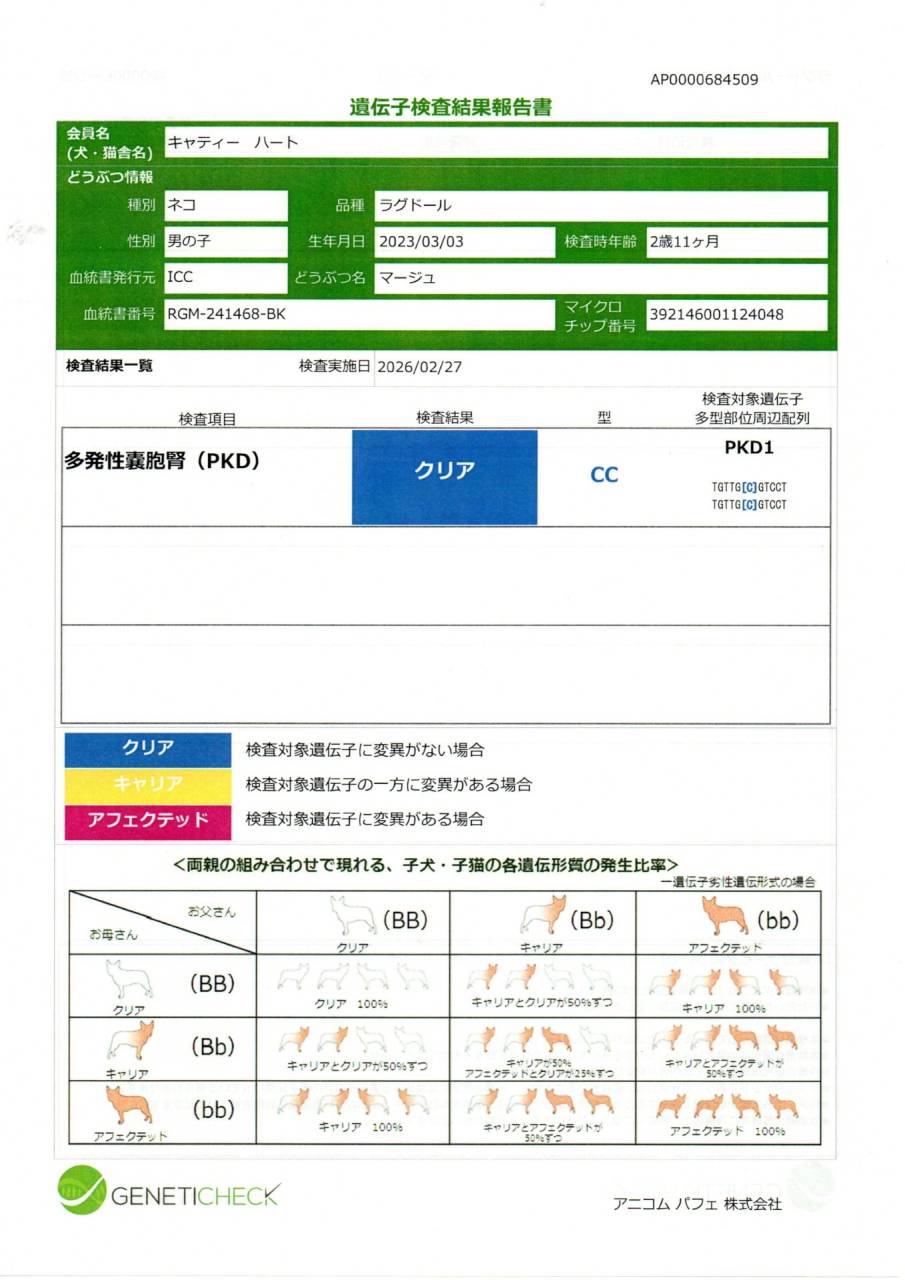 マージュ