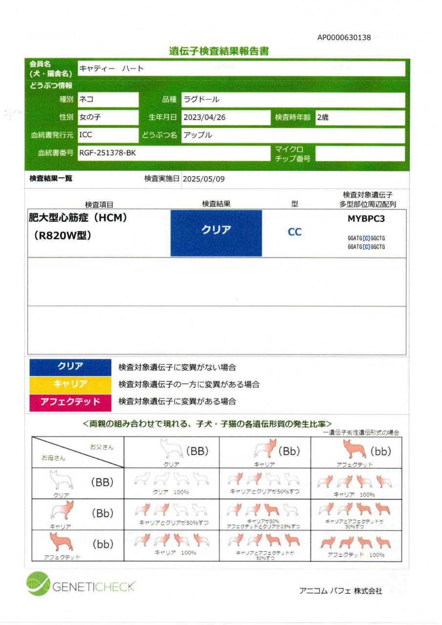 アップル