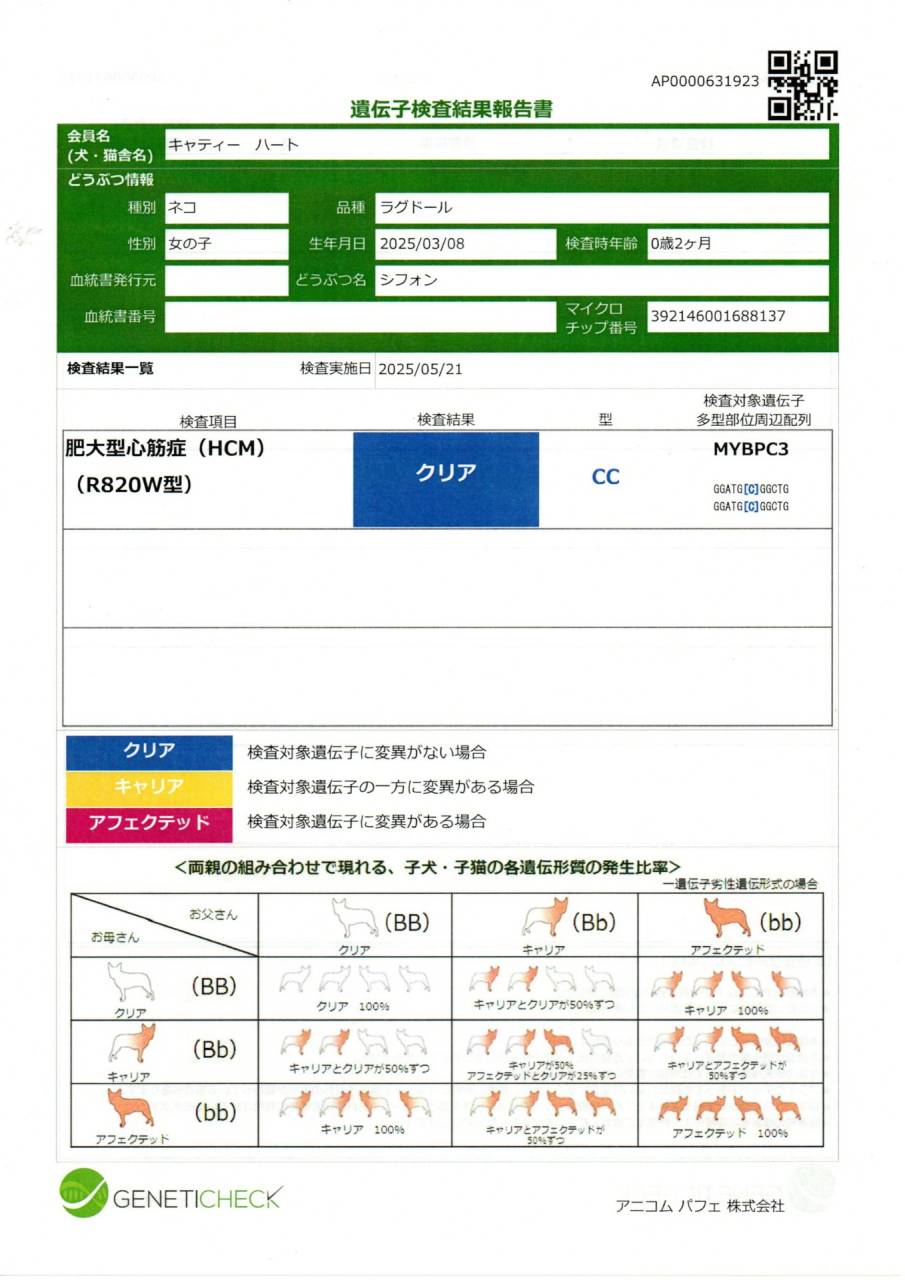 シフォン