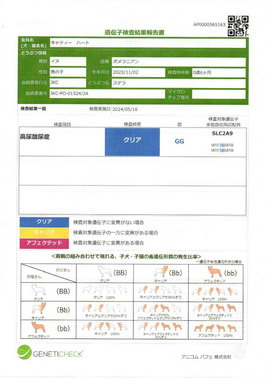 ステラ